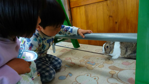 DSC00145@~~.jpg