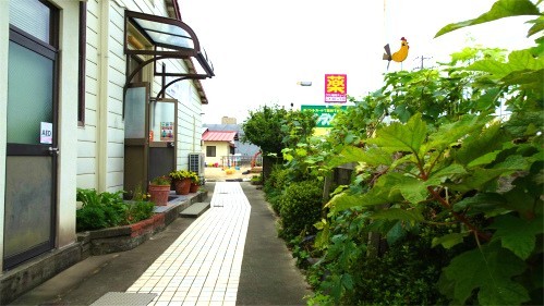 DSC03071.jpg