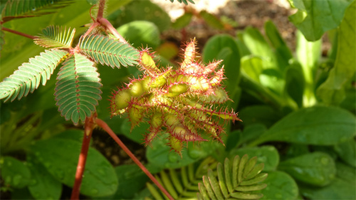 DSC03266.jpg