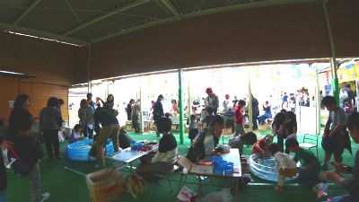 DSC03384.jpg