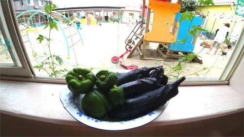 DSC03710.jpg