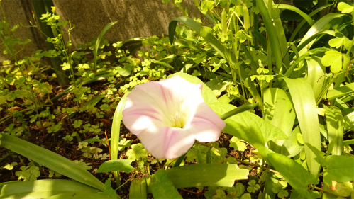 DSC04025.jpg