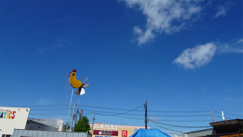 DSC04241.jpg