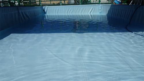 DSC04242.jpg