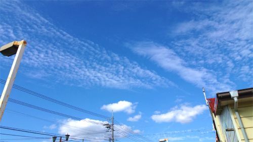 DSC04433.jpg