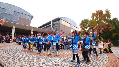 DSC04671-1.jpg