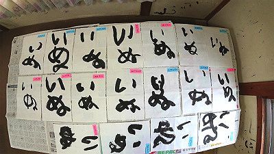 DSC04782.jpg