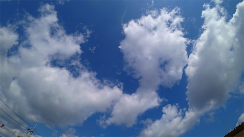 DSC05128.jpg