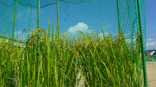 DSC05456.jpg