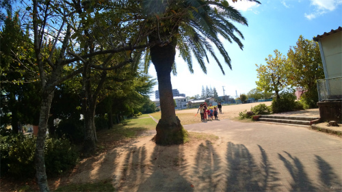 DSC05949.jpg