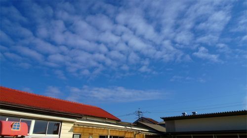 DSC06047.jpg