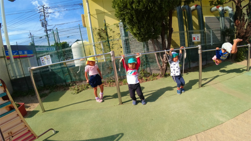 DSC06529.jpg