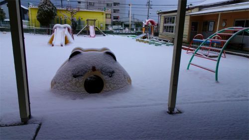 DSC06604.jpg