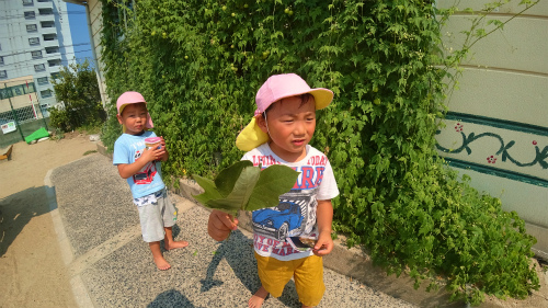 DSC07976.jpg