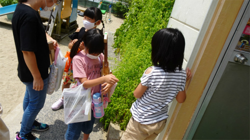 DSC08239.jpg
