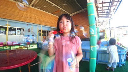 DSC08256.jpg