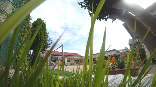 DSC08370.jpg