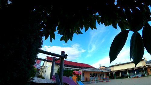 DSC08430.jpg