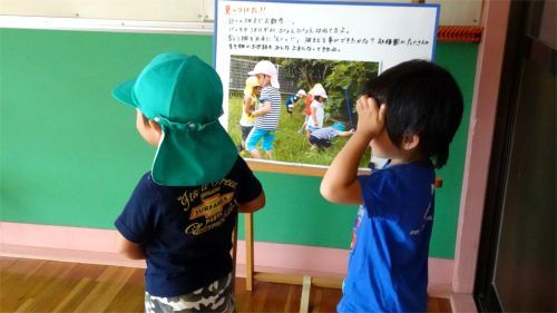 DSC08582.jpg
