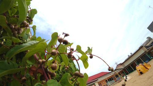 DSC08655.jpg