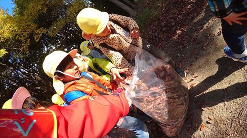 DSC08686_R.JPG