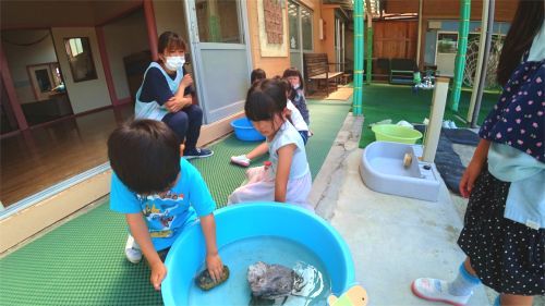 DSC08865.jpg