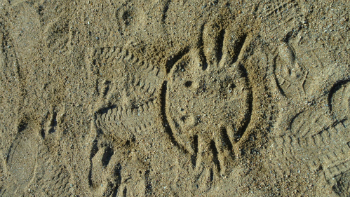 DSC09382.jpg