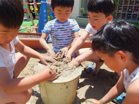 DSCF6180.jpg