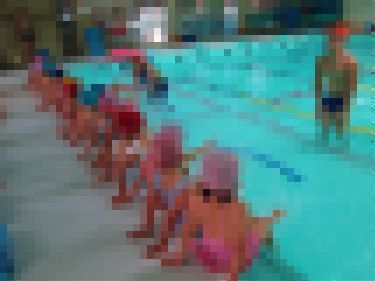 IMG_2786.jpg