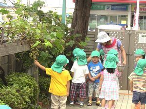 IMG_4711-sb.jpg