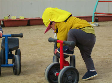 IMG_6330.jpg