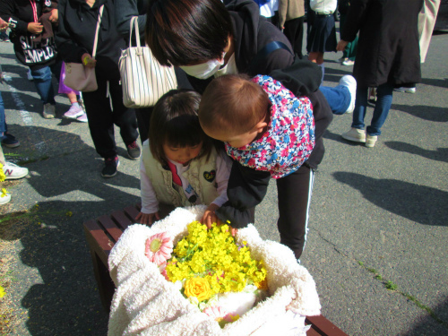 IMG_6846.jpg