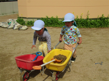 IMG_8609.jpg