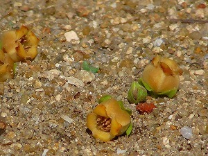 M1500002-sb.jpg