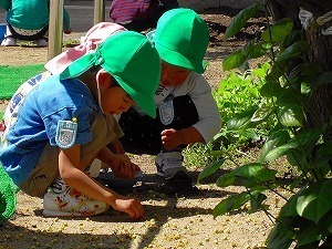 M1500018-sb.jpg