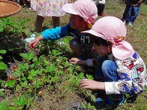M1500070-sb.jpg