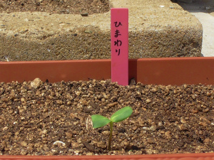 M1560024.jpg