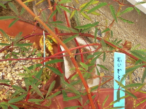 M2540068.jpg